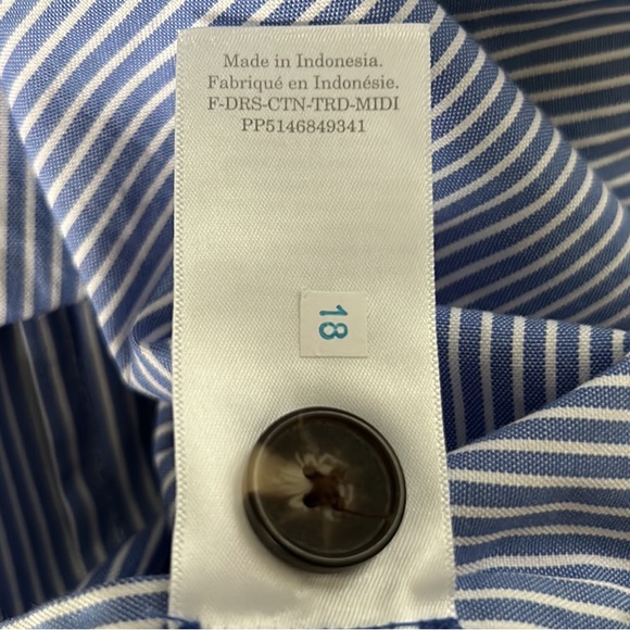 Everlane The Tiered Blue & White Striped Poplin Sleeveless Maxi Dress - XS - Picture 15 of 16